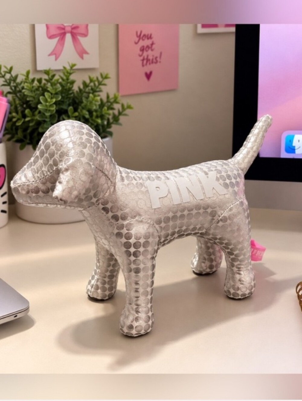 PINK Victoria Secret-Dot Logo Pup (Silver) 🩶